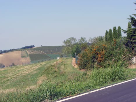 Landscape of hills and fields