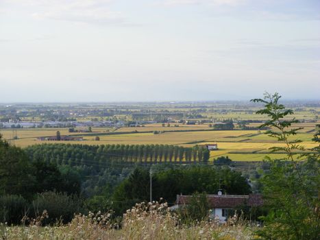 Landscape of hills and fields