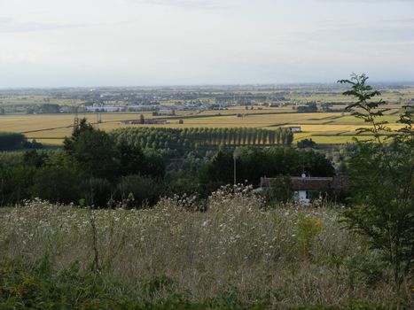 Landscape of hills and fields