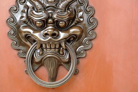 lion door lock