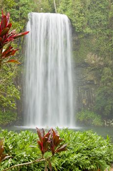 A beautiful cascading waterfall in the tropical rainforest outside Milla Milla, Queensland, Australia