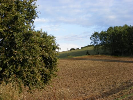 Landscape of hills and fields