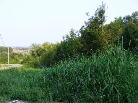 Landscape of hills and fields