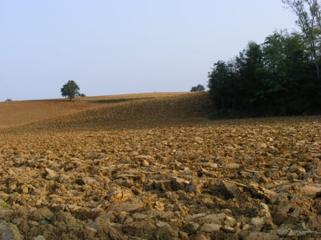 Landscape of hills and fields