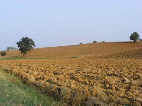 Landscape of hills and fields