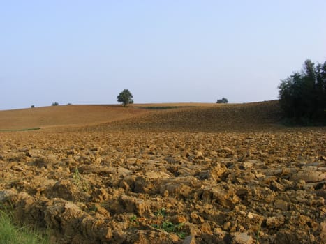 Landscape of hills and fields