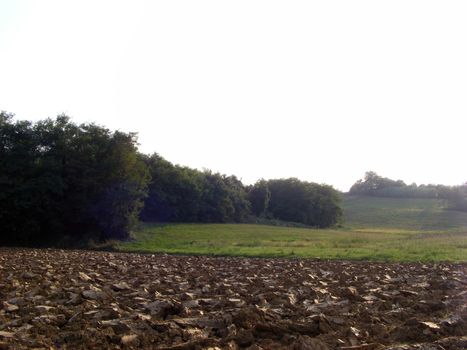 Landscape of hills and fields