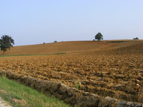 Landscape of hills and fields