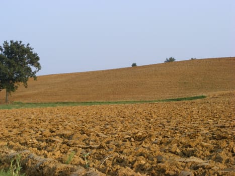 Landscape of hills and fields