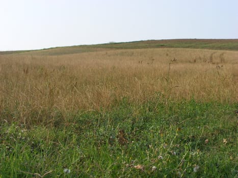 Landscape of hills and fields