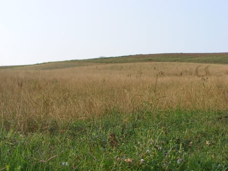 Landscape of hills and fields