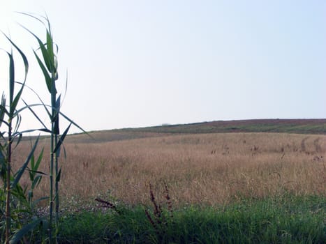 Landscape of hills and fields