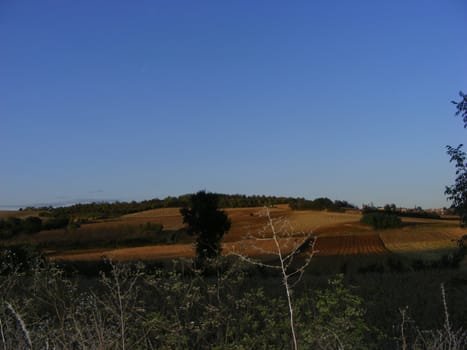 Landscape of Hills and trees 