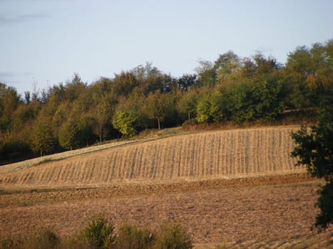 Landscape of Hills and trees 