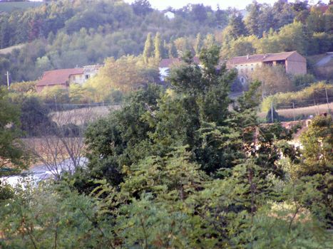 Landscape of Hills and trees 