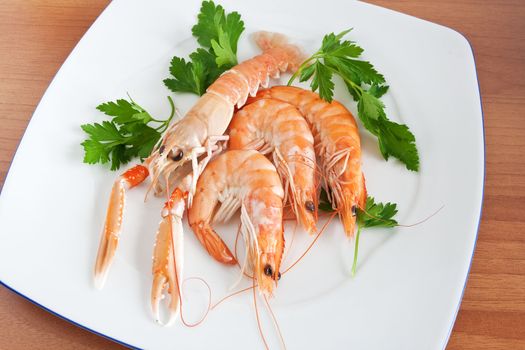 prawn and shrimps with parsley on a white plate
