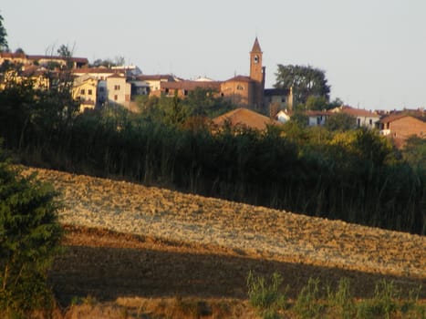 Landscape of Hills and trees 