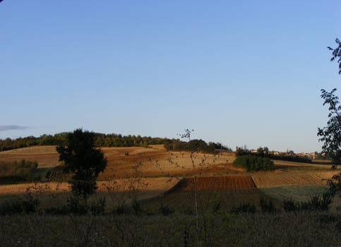 Landscape of Hills and trees 