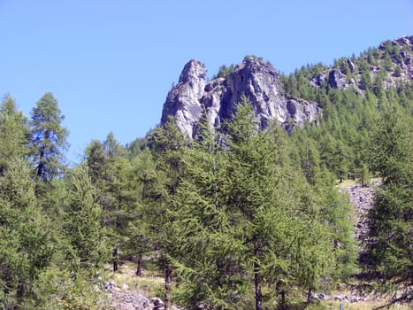 A view of Alps