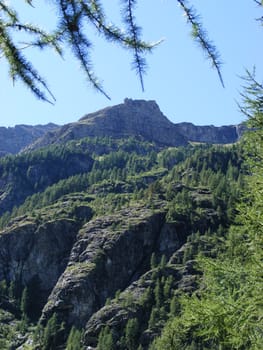 A view of Alps