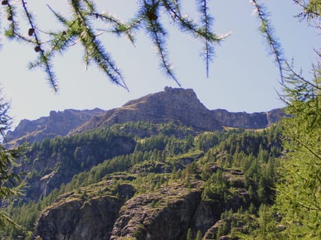 A view of Alps