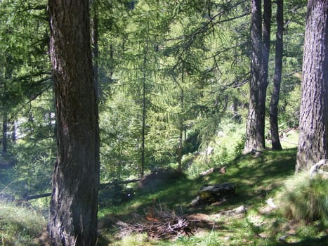 A view of Alps