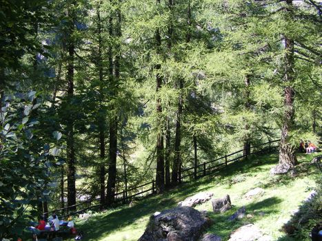 A view of Alps