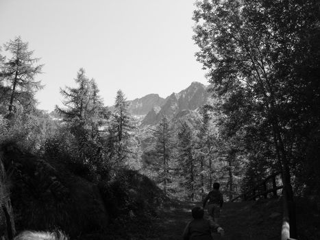 A view of Alps