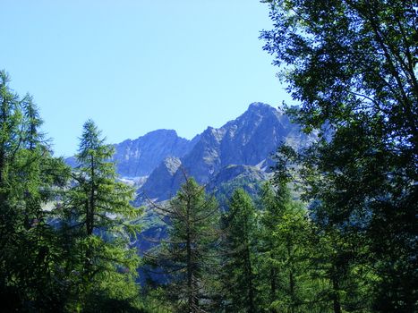 A view of Alps