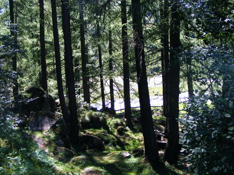 A view of Alps