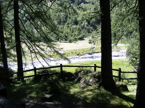 A view of Alps