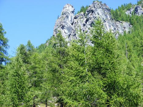 A view of Alps