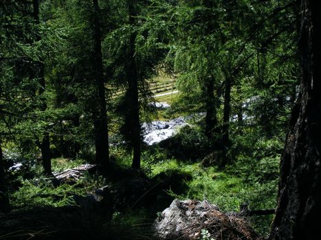 A view of Alps