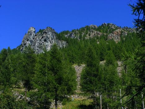 A view of Alps