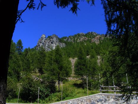 A view of Alps