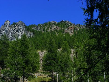 A view of Alps