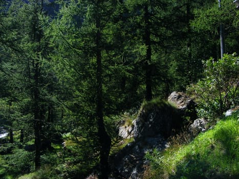 Landscape of mountains