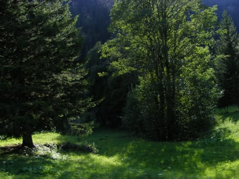 Landscape of mountains