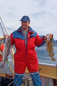 Fisherman with fish on the boat near the Lofoten island