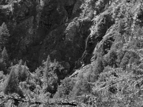 Landscape of mountains and wood