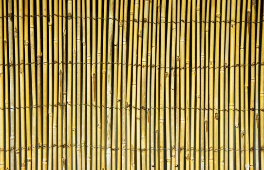 A bamboo fence background