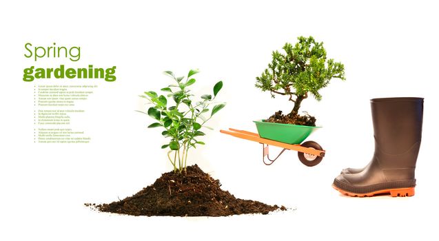 Variety of objects for spring planting on white background