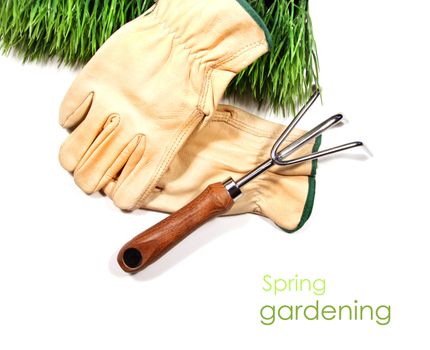 Green grass, gloves, and garden tool on white