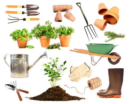 Variety of objects for spring planting on white background