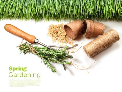 Grass, seeds, cord and peat pots for spring on white