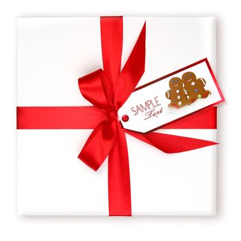 Wrapped Holiday Gift With Red Ribbon Decorated Tag and Copyspace For Your Design