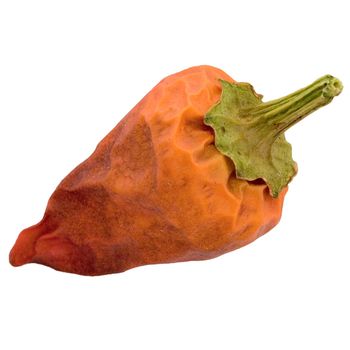 Red burning pepper on a white background