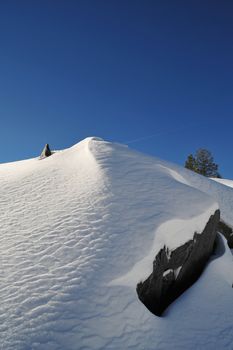 Snow covered mountain peak on a clear cloudless day with a single tree in the background, image contains GPS location information