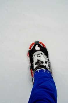 One snowshoe and leg with snow clothing on
