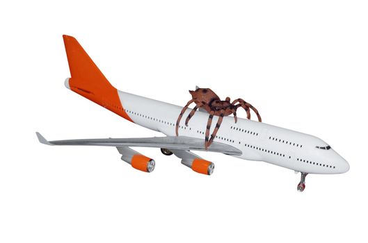 Spider Hitching a Ride on a Passenger Jet isolated with clipping path